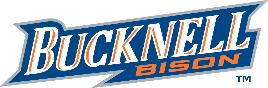 Bucknell Bison 2002-Pres Wordmark Logo 03 iron on paper